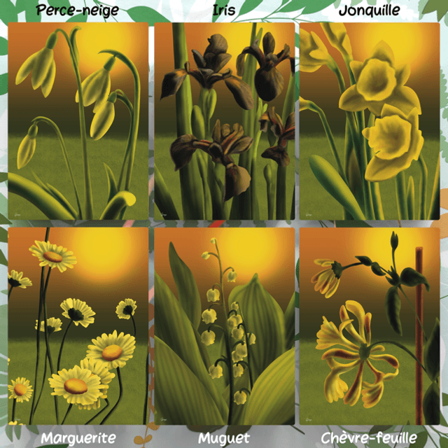 Fleurs - Affiche A4